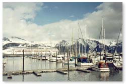 Seward Fishing Village