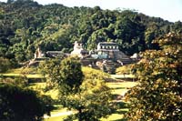 Dense jungle of the Chiapas 32K