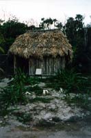 Thatched-roof palapa huts 32K